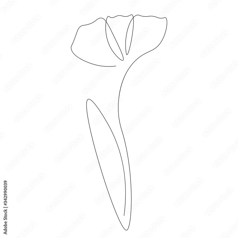 Spring flower isolated on white background. Vector illustration Spring flower isolated on white background. Vector illustration