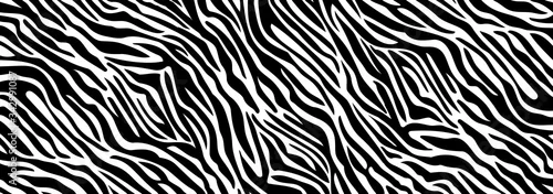 Obraz Trendy zebra skin pattern background vector. Animal fur, vector background for Fabric design, wrapping paper, textile and wallpaper.