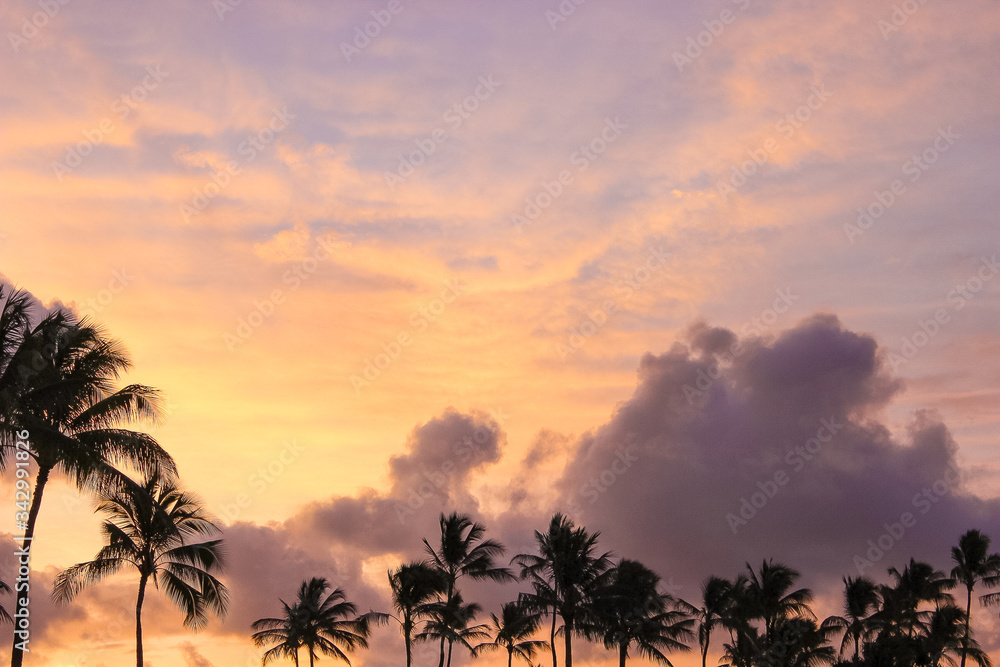 Pinks and yellows of a tropical sunset, over the swaying palm trees. 