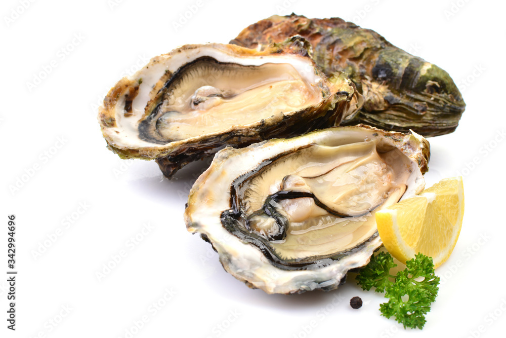 Oysters on a white background with lemon Oysters on a white background with lemon