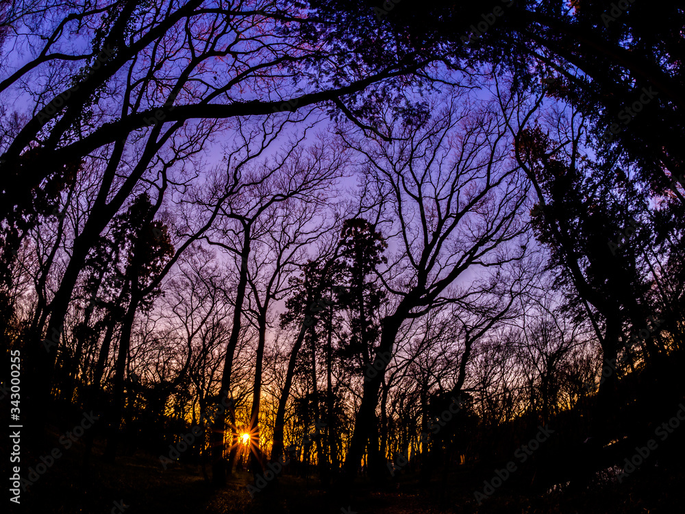 風景 landscape 風景 landscape