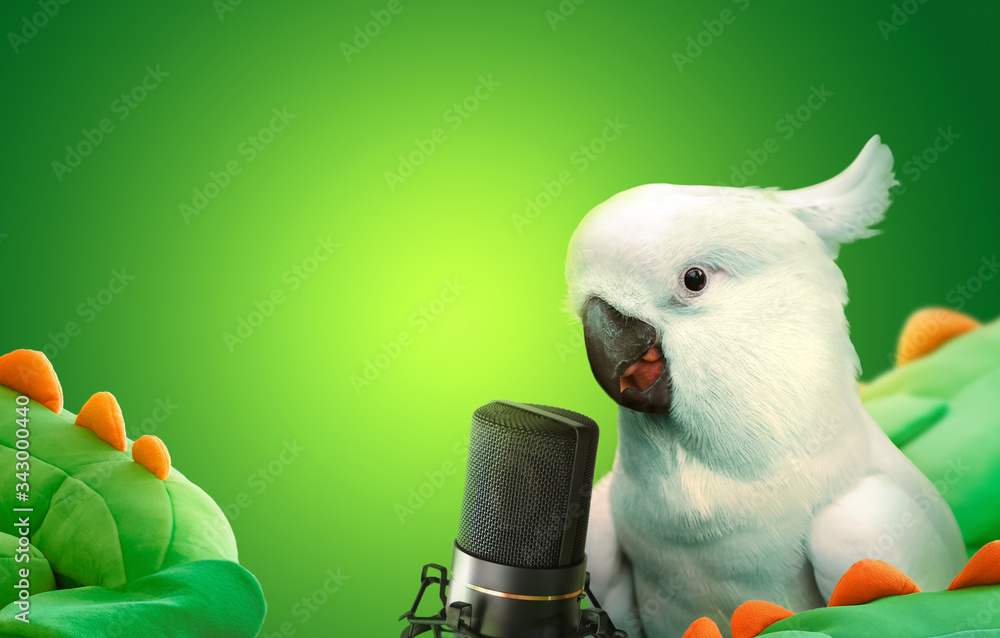 Talking cockatoo parrot with a microphone Stock Photo | Adobe Stock