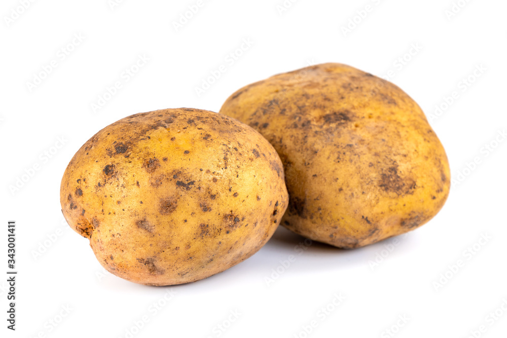 Two dirty potatoes isolated on white background, vegetable Two dirty potatoes isolated on white background, vegetable