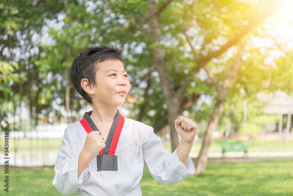Happy taekwondo kid posing in fighting action on nature at the park Happy taekwondo kid posing in fighting action on nature at the park