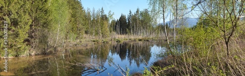 Panorama Willinger Filz