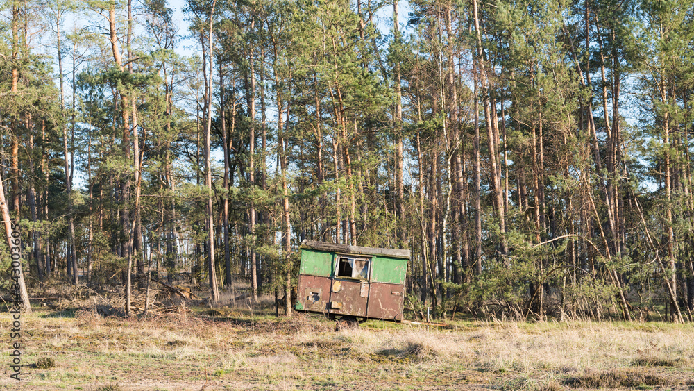 A construction trailer stands on the edge of a forest A construction trailer stands on the edge of a forest