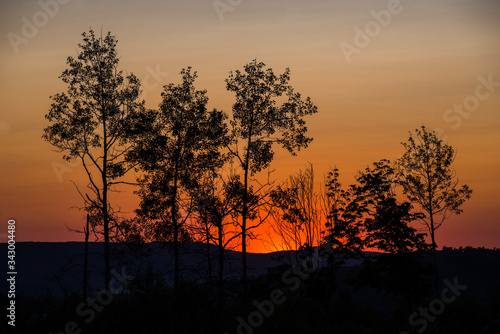 summer fiery red sunset in the mountains against the background of trees