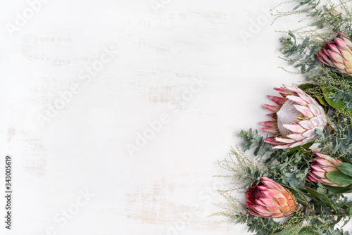 Cuadro en lienzo Beautiful decorative pink king protea flower surrounded by pink ice proteas and wattle leaves, creating a floral border on a rustic white background