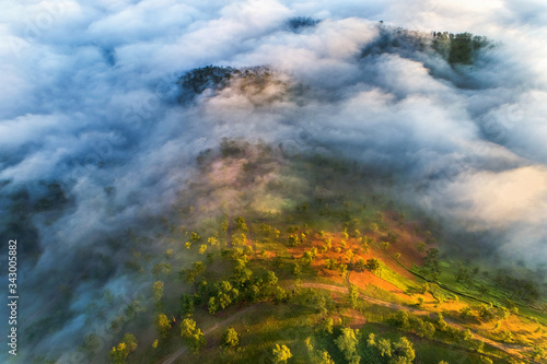 Aerial view of pine forest near Highway 27c or Provincial Route 723 from Da Lat city to Nha Trang city at Long Lanh pass, Lam Dong province, Vietnam © Hien Phung