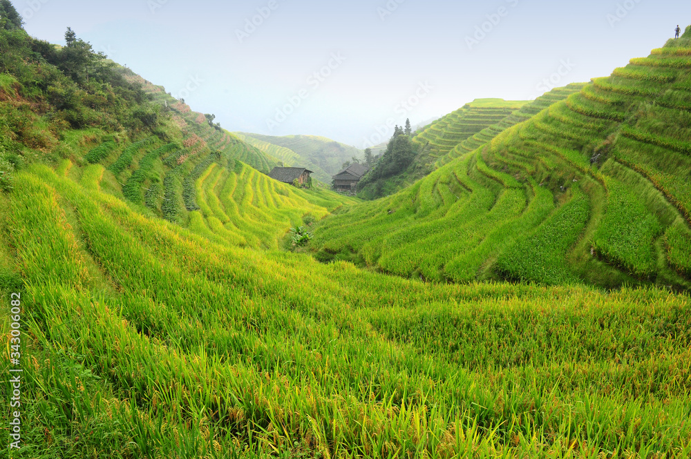 View of rice terraces in South China View of rice terraces in South China