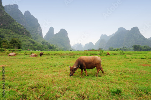 Beautiful karst mountain landscape of China © wusuowei