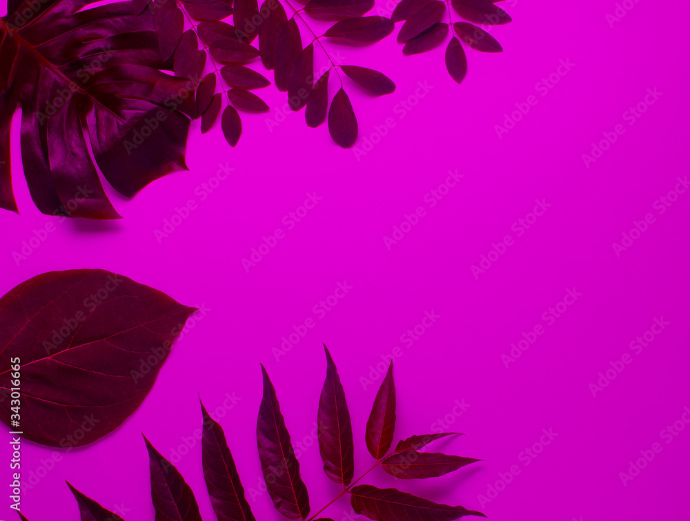 Background from tropical green leaf in pink neon light. Copy space. Top view Background from tropical green leaf in pink neon light. Copy space. Top view