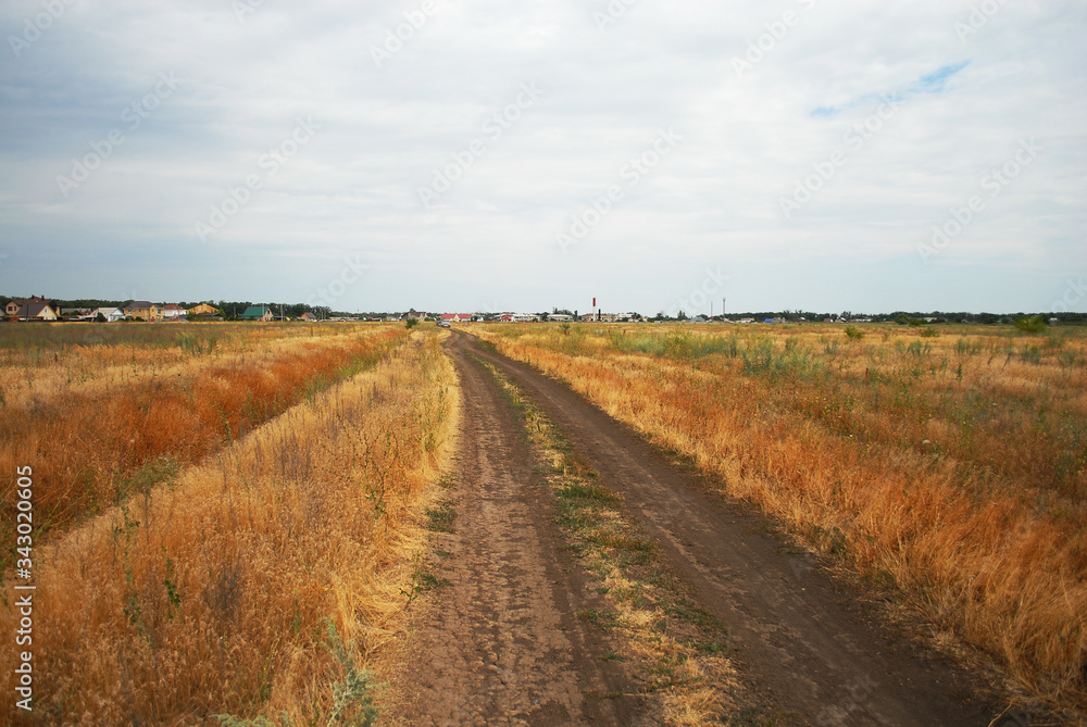 Naklejka premium Dirt dusty road in the steppe on a cloudy summer day.