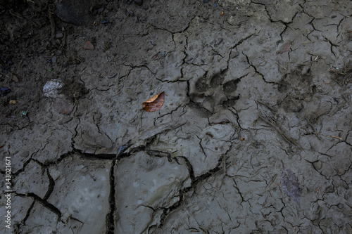 Fototapeta Naklejka Na Ścianę i Meble -  Bieszczady