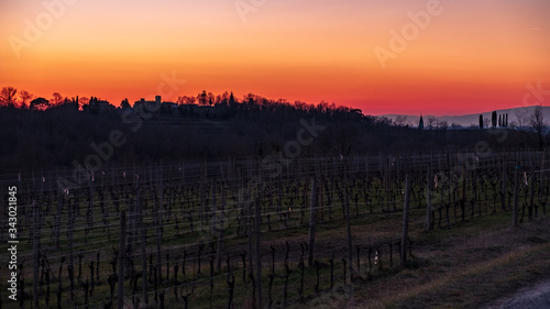 Winter sunset in the vineyards of Collio Friulano