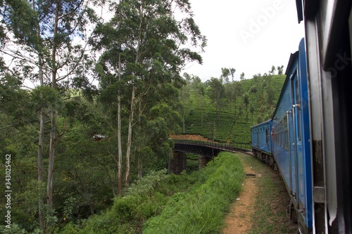 Train in the forest, Sri Lanka 
