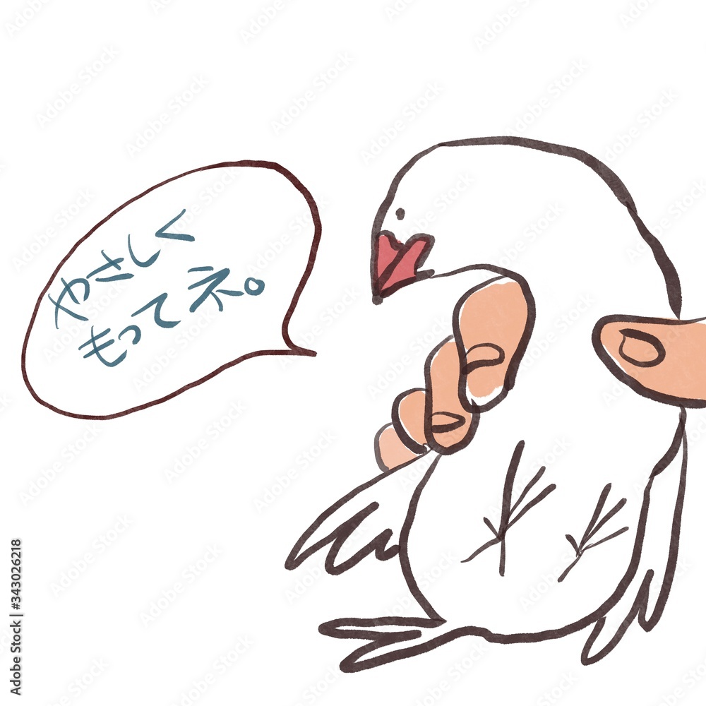 手に掴まれた文鳥 手に掴まれた文鳥