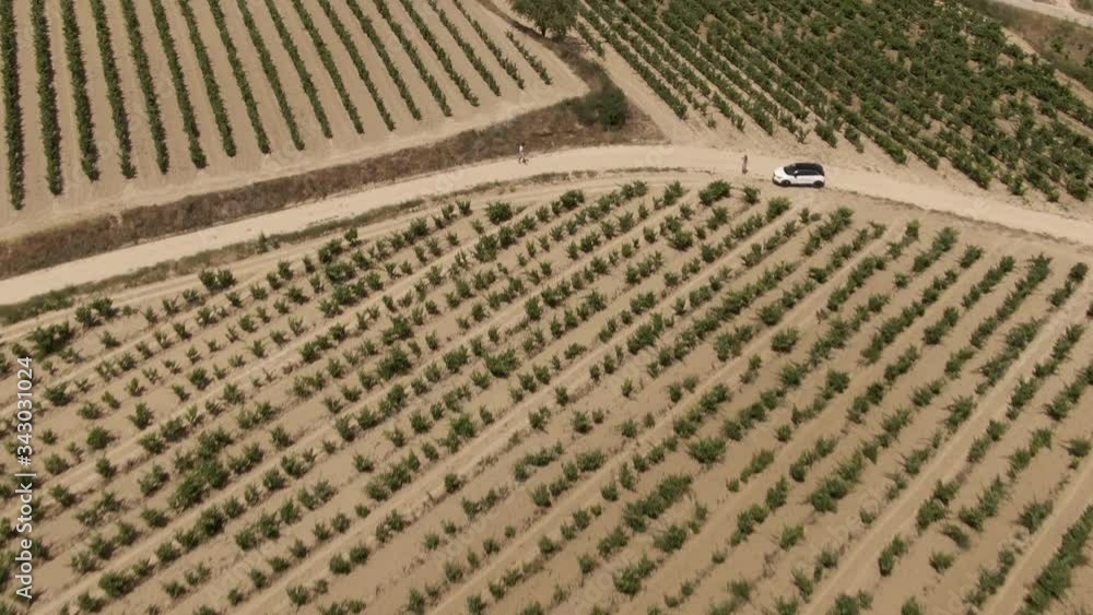 La Rioja Wine Region Spain. 4k DRONE aerial view. Vineyards growing grapes for red wine. Green rolling hills. Dramatic landscape. Viticulture, scenic, drinking, growing concepts. Cinematic. La Rioja Wine Region Spain. 4k DRONE aerial view. Vineyards growing grapes for red wine. Green rolling hills. Dramatic landscape. Viticulture, scenic, drinking, growing concepts. Cinematic.