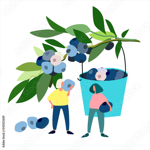 Women picking blueberries vector illustration. Harvesting concept. Agritourism concept. Pick-your-own concept. Hand drawn illustration in abstract flat style