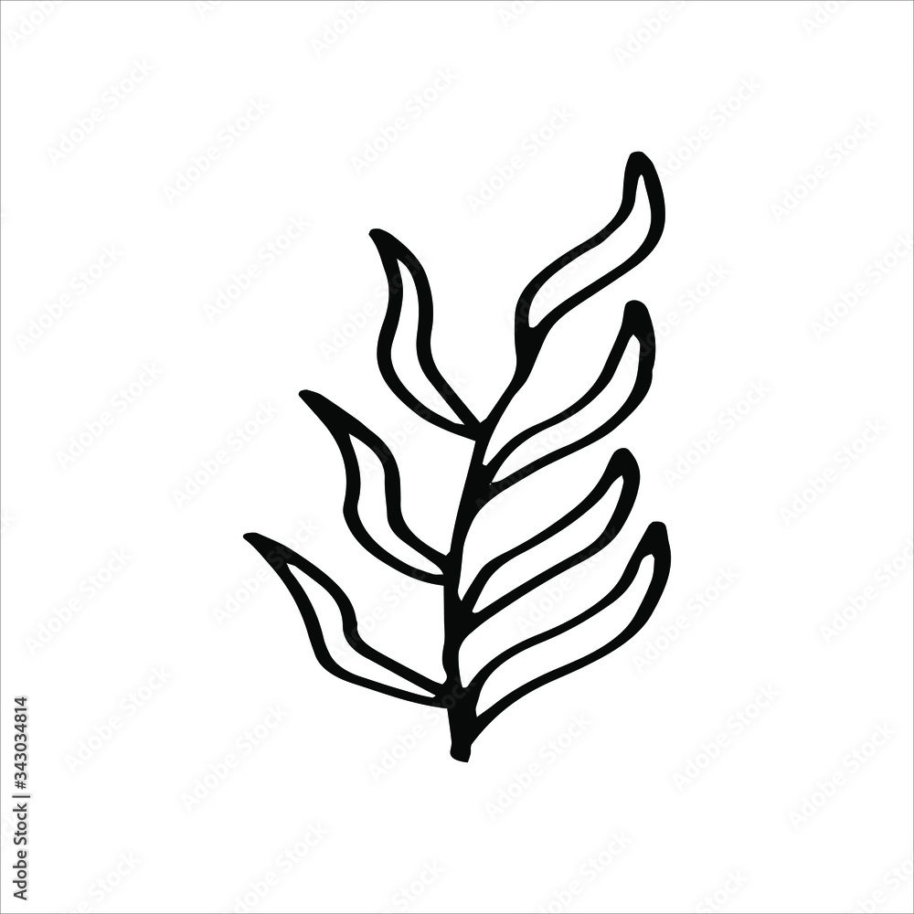 Vector doodle illustration. Simple mono linear modern design.W ater plant, seaweed. Black and white botanical illustration.
Vector doodle illustration. Simple mono linear modern design.W ater plant, seaweed. Black and white botanical illustration.