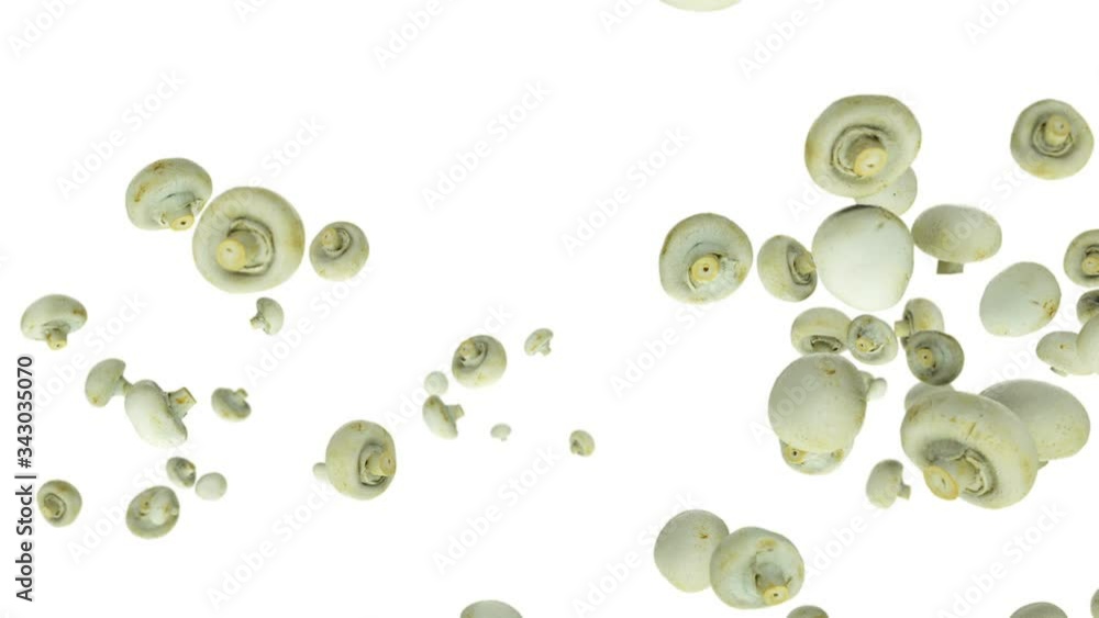 Champignon mushroom flying in slow motion, against white Champignon mushroom flying in slow motion, against white