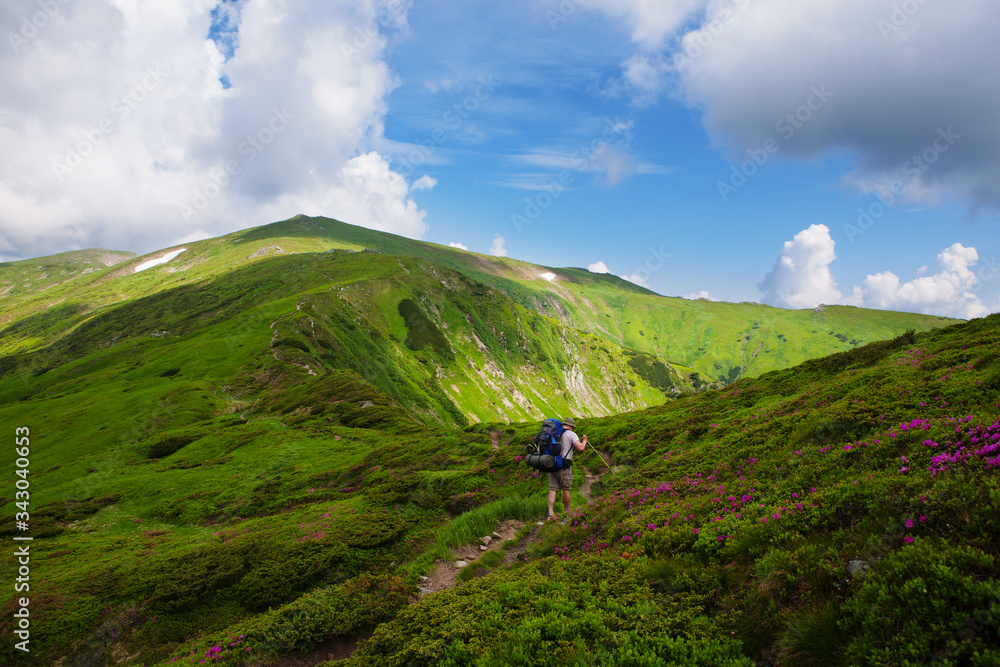 Hiker in Carpathian Mountains in summer Hiker in Carpathian Mountains in summer
