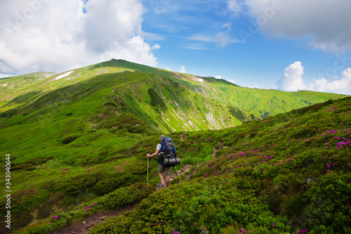 Hiker in Carpathian Mountains in summer