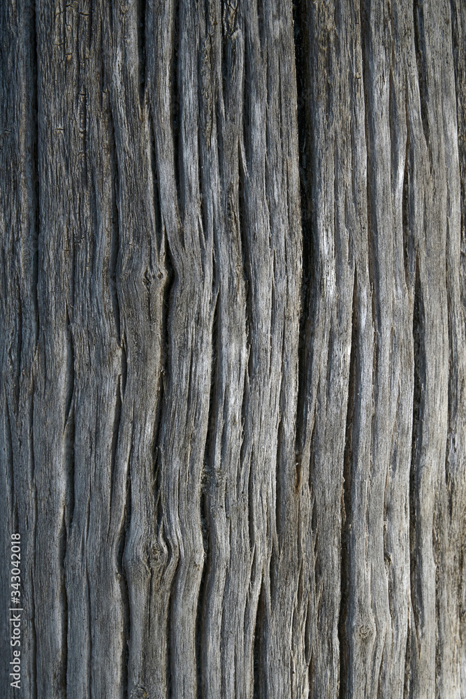 Texture of an old, dried-up tree trunk with vertical patterned background; color photo. Texture of an old, dried-up tree trunk with vertical patterned background; color photo.