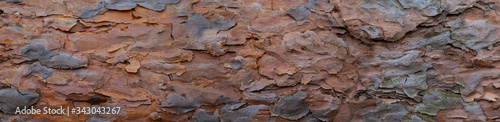 Banner of the bark of an old tree. Fragment of a pine trunk.Panorama of flaky wooden bark.