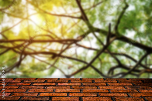 Natural walls and brick floors, Wood flooring in a green plant garden decorative.