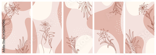 Edelweiss. Set of vector vertical isolated backgrounds  for social media stories, banner in pastel colors with copy space for text. Еdelweiss flowers on a pink background. Stock vector illustration.