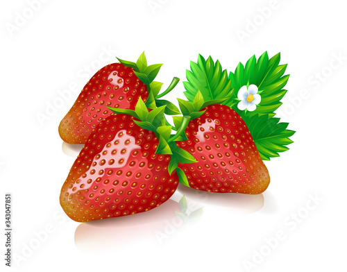 Still life of three fresh strawberries and green strawberry leaf isolated on white background. Vector illustration.