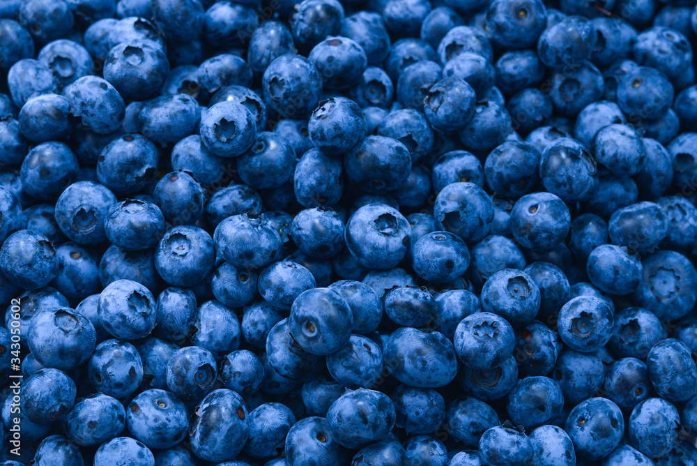 Fresh blueberry background. Texture blueberry berries close up. Fresh blueberry background. Texture blueberry berries close up.