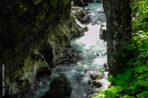 River flows through the forest along the cliffs