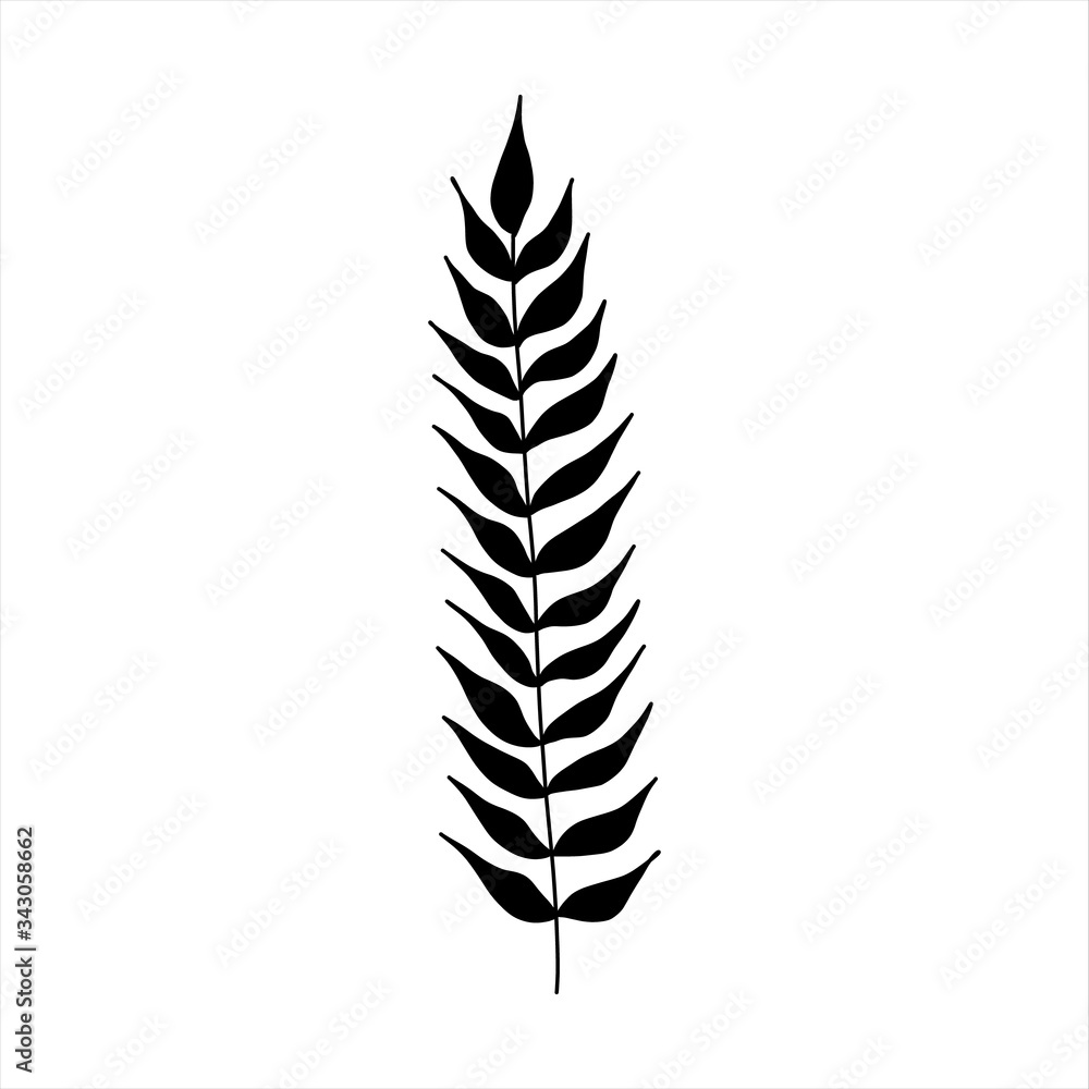 Black tropical leaf silute on an isolated white background. Botanical tree branches, palm leaf on the stem. Spring summer leaf. Concept design logo icon for the application. Vector illustration. Black tropical leaf silute on an isolated white background. Botanical tree branches, palm leaf on the stem. Spring summer leaf. Concept design logo icon for the application. Vector illustration.