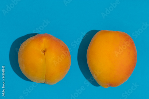 Two ripe large apricot on a blue background.
