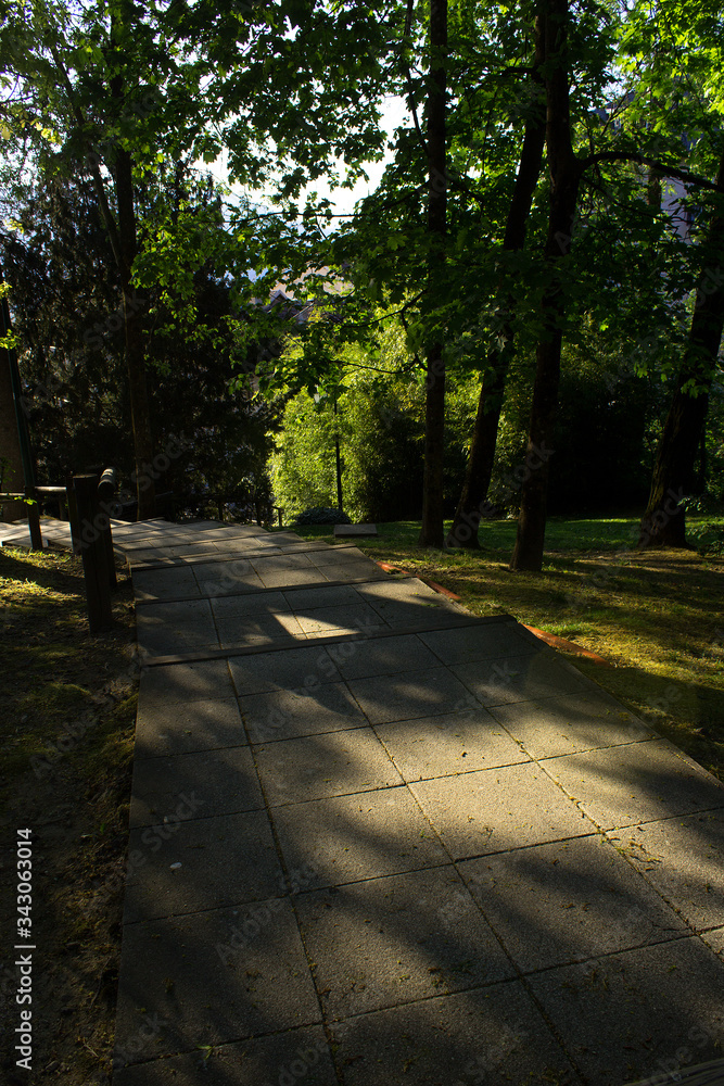 footpath with sunset sun light rays in the green spring city park trees magic nature season beauty 