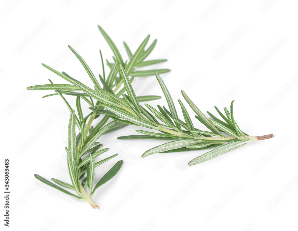 Fototapeta premium Rosemary isolated on white background.