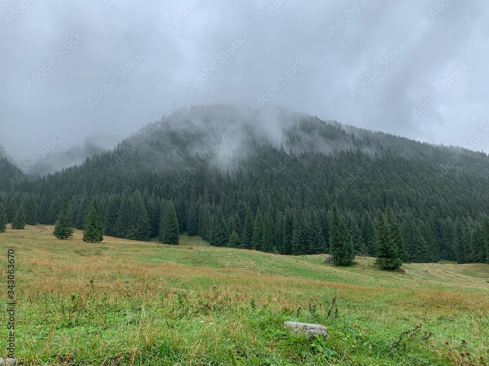 Trekking in the Kościeliska Valley, Tatra mountains. Trekking in the Kościeliska Valley, Tatra mountains.