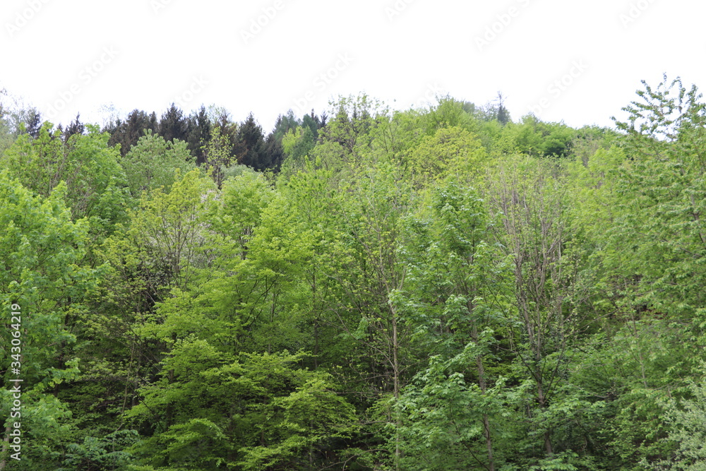 Natureza, verde, paisagem Natureza, verde, paisagem