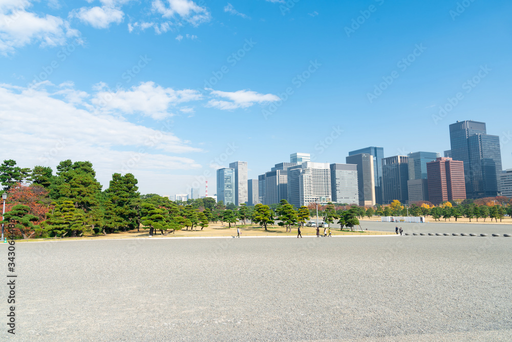 Buildings in Tokyo with autumn leaves
