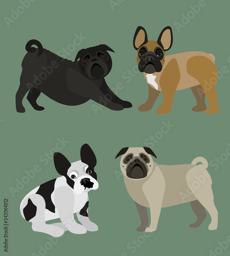 Set of molos dogs: pugs and french bulldogs in various positions, clean geometrical vector file for many purposes.