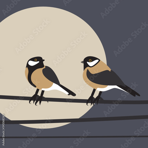 Simple illustration of two birds - tomtits sitting. Clean, geometrical vector file, fully editable for various purposes.