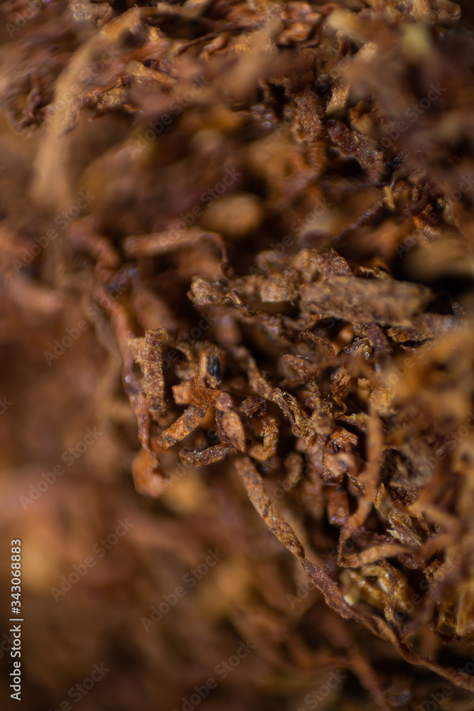 tobacco tobacco