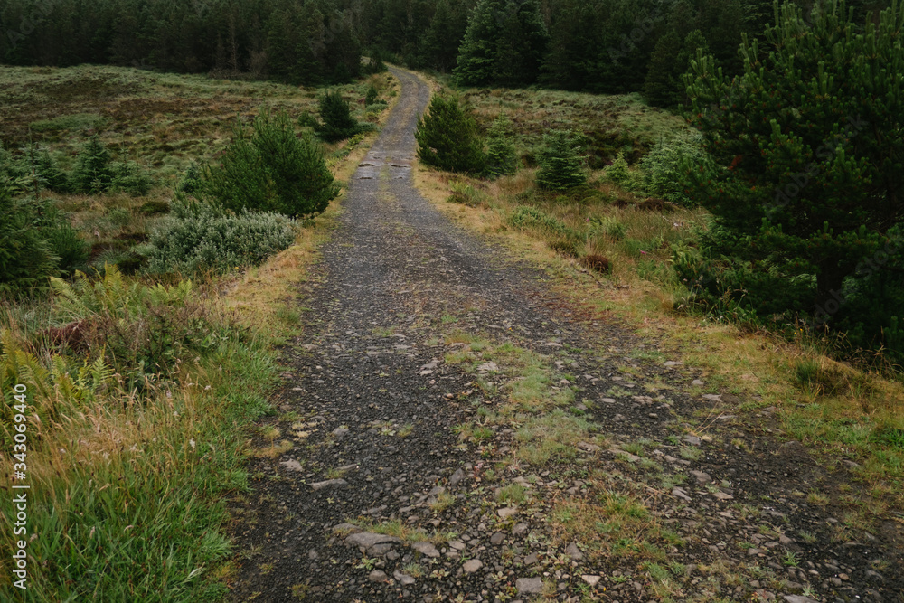 Schottland, verlassener Pfad. Schottland, verlassener Pfad.