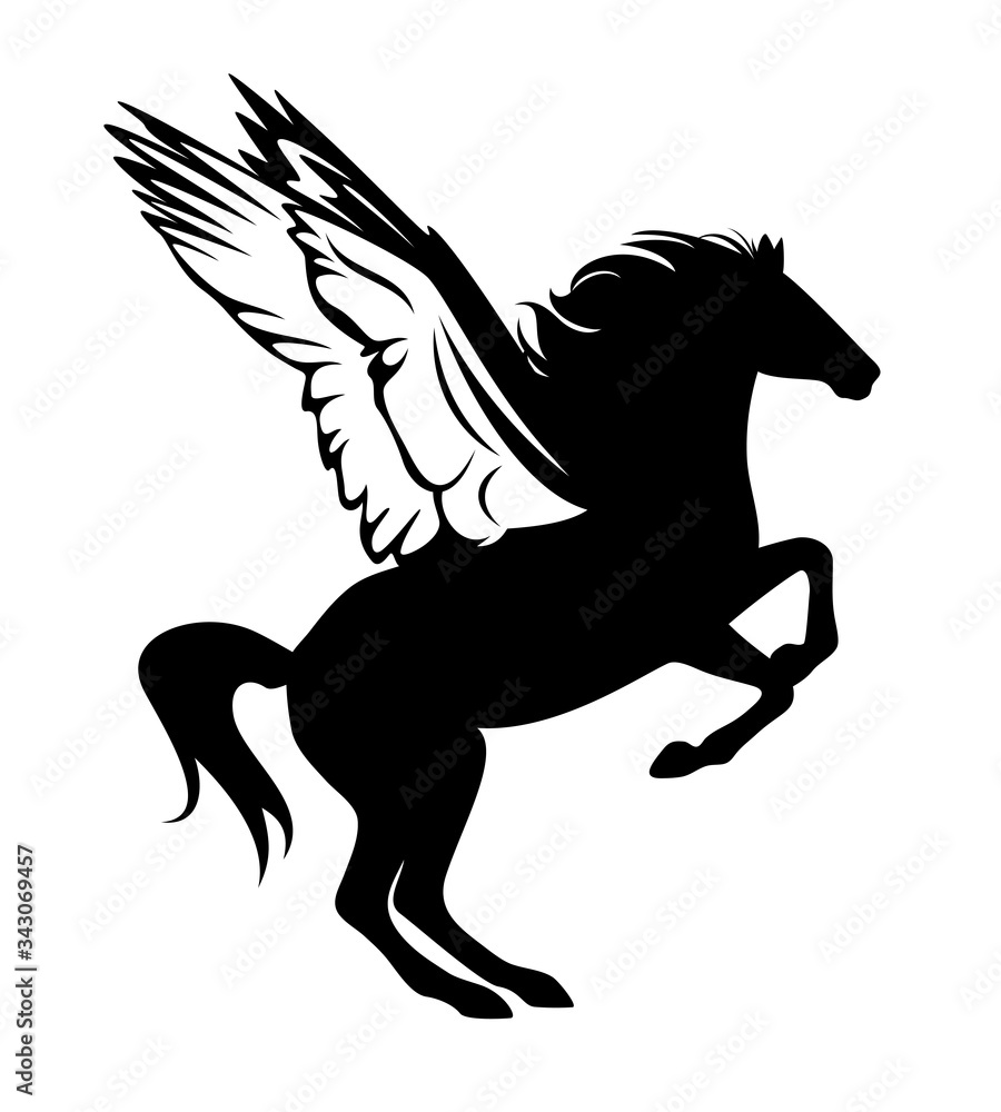Fototapeta mythical pegasus rearing up - side view winged horse black and white vector silhouette outline