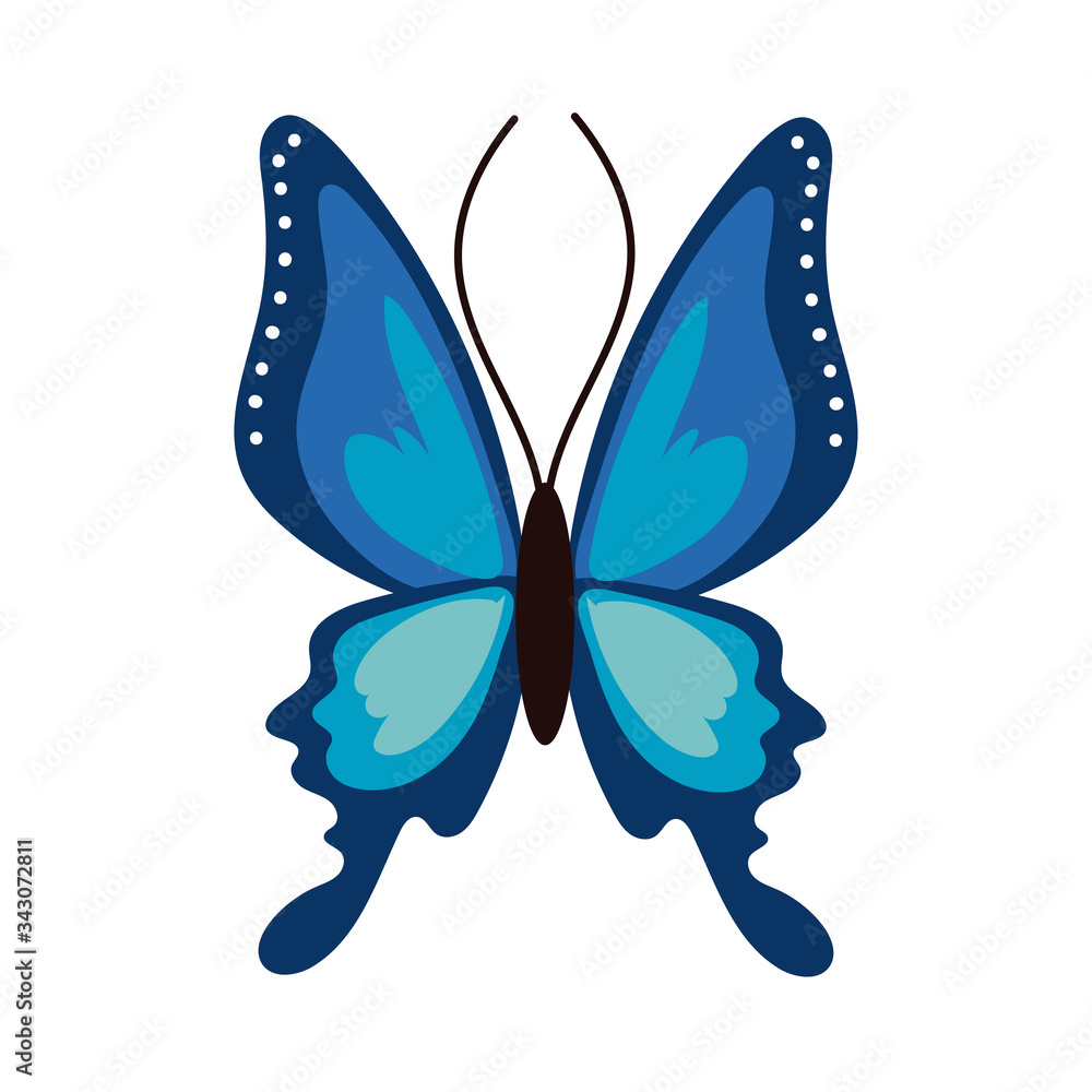 Fototapeta premium beautiful butterfly insect blue flat style icon