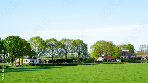 Dutch Meadow landscape in Holland