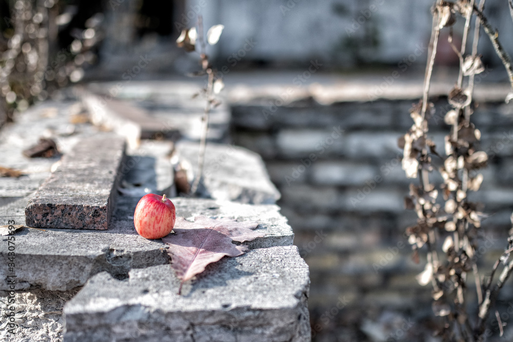 Chernobyl - Prypiat Exclusion Zone
