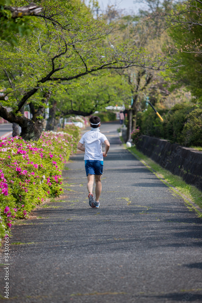 Fototapeta premium 朝の公園でジョギングしている男性